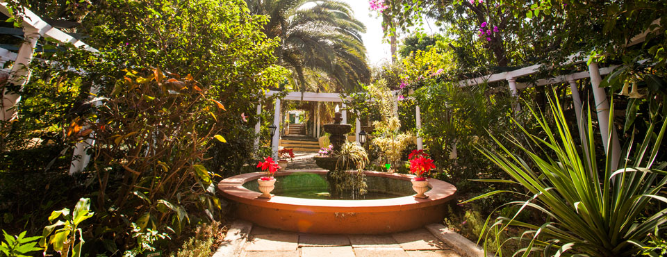 Jardín de Orquideas Sitio Litre