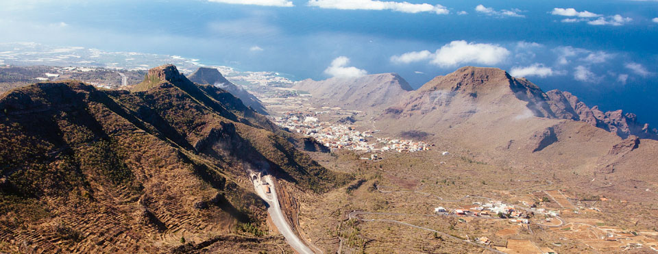 Tamaimo