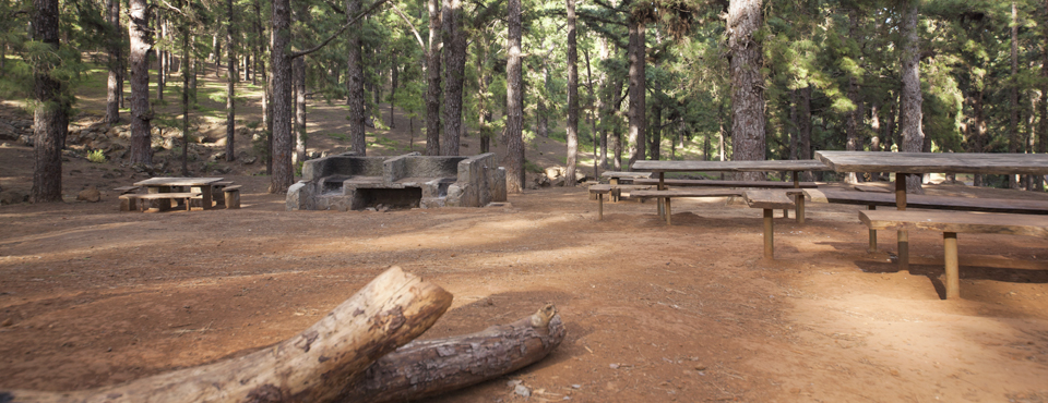 Zona Recreativa Las Raíces