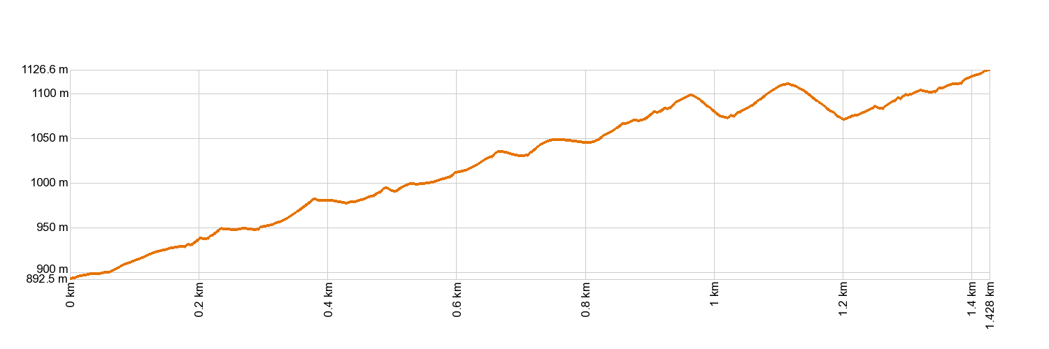 Altimetría PR-TF 40.1 Camino Punta del Risco