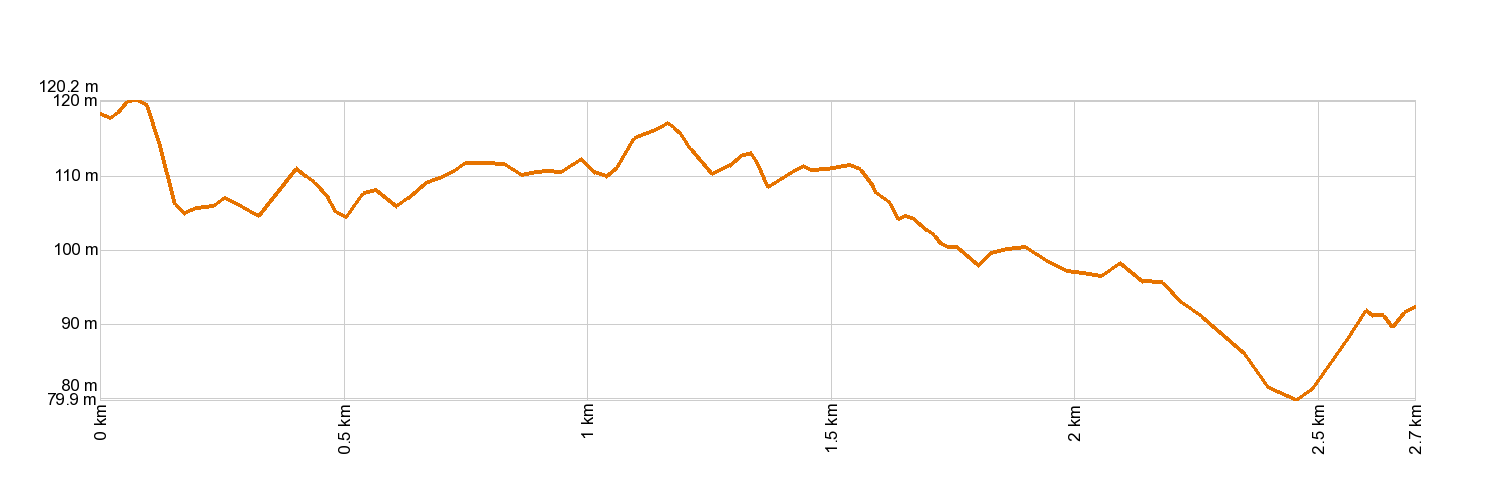 Altimetría Malpaís de Güímar 2